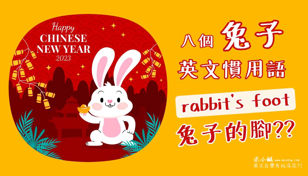 「兔子」英文該用 rabbit bunny hare？「龜兔賽跑」英文原來是….
